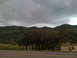 Picture 013.jpg